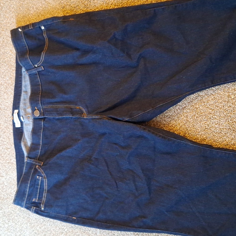 Lane Bryant jeans